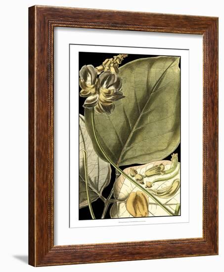 Tranquil Tropical Leaves I-Vision Studio-Framed Art Print