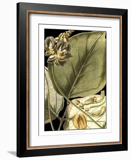 Tranquil Tropical Leaves I-Vision Studio-Framed Art Print