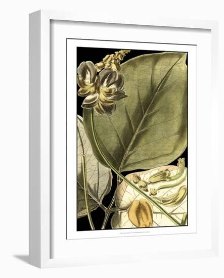 Tranquil Tropical Leaves I-Vision Studio-Framed Art Print