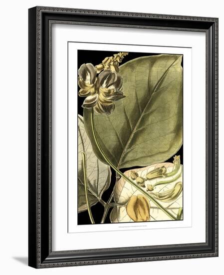 Tranquil Tropical Leaves I-Vision Studio-Framed Art Print