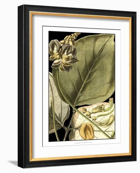 Tranquil Tropical Leaves I-Vision Studio-Framed Art Print