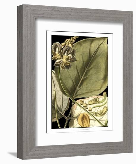 Tranquil Tropical Leaves I-Vision Studio-Framed Premium Giclee Print