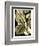 Tranquil Tropical Leaves II-Vision Studio-Framed Premium Giclee Print