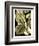 Tranquil Tropical Leaves II-Vision Studio-Framed Premium Giclee Print