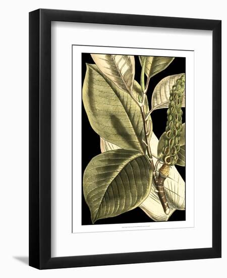 Tranquil Tropical Leaves II-Vision Studio-Framed Premium Giclee Print