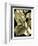 Tranquil Tropical Leaves II-Vision Studio-Framed Premium Giclee Print