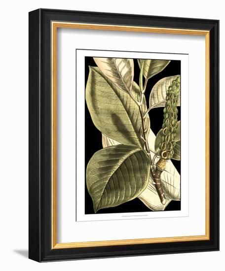Tranquil Tropical Leaves II-Vision Studio-Framed Premium Giclee Print