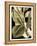 Tranquil Tropical Leaves II-Vision Studio-Framed Stretched Canvas