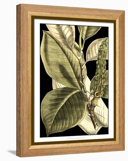 Tranquil Tropical Leaves II-Vision Studio-Framed Stretched Canvas