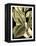 Tranquil Tropical Leaves II-Vision Studio-Framed Stretched Canvas