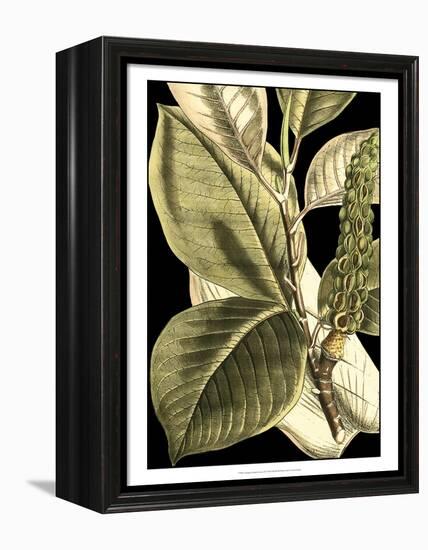 Tranquil Tropical Leaves II-Vision Studio-Framed Stretched Canvas