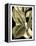 Tranquil Tropical Leaves II-Vision Studio-Framed Stretched Canvas