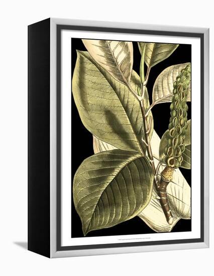 Tranquil Tropical Leaves II-Vision Studio-Framed Stretched Canvas