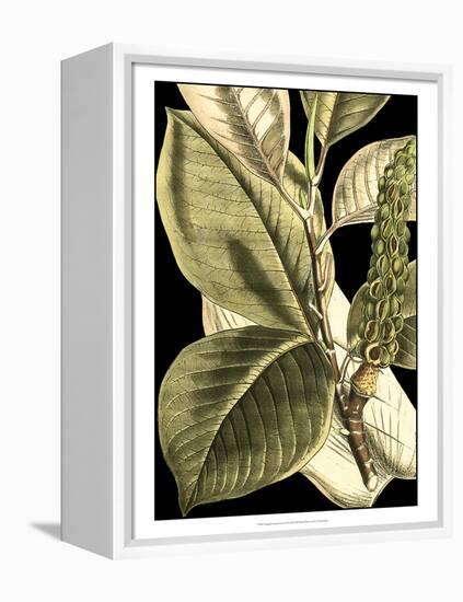 Tranquil Tropical Leaves II-Vision Studio-Framed Stretched Canvas