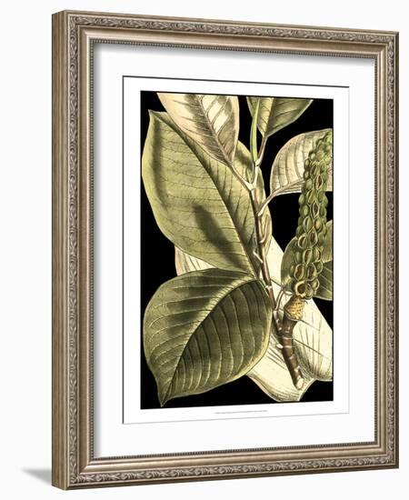 Tranquil Tropical Leaves II-Vision Studio-Framed Art Print