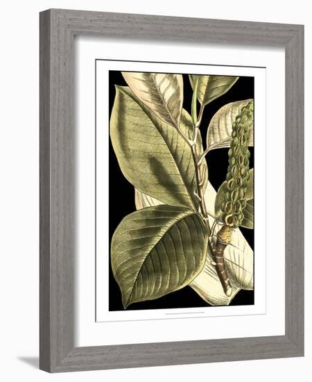 Tranquil Tropical Leaves II-Vision Studio-Framed Art Print