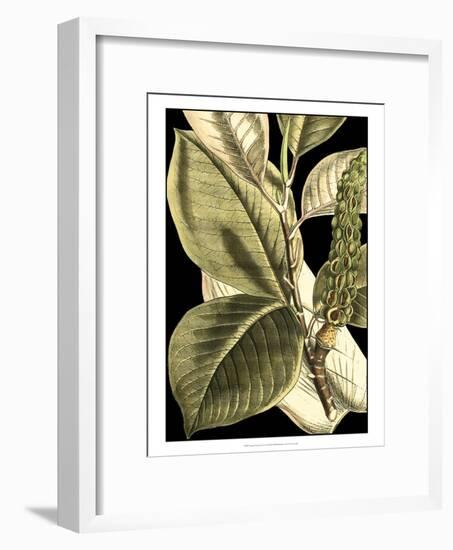 Tranquil Tropical Leaves II-Vision Studio-Framed Art Print