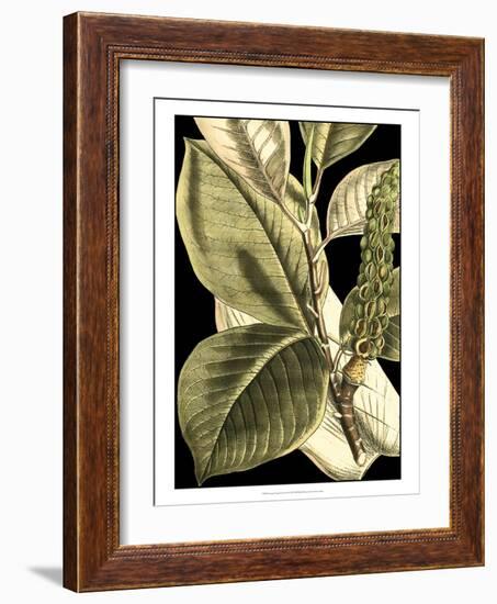 Tranquil Tropical Leaves II-Vision Studio-Framed Art Print