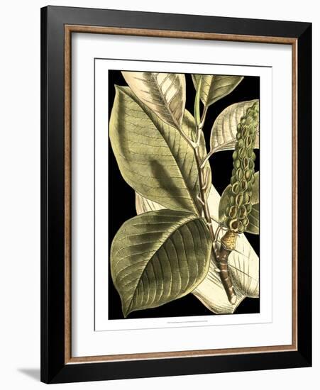 Tranquil Tropical Leaves II-Vision Studio-Framed Art Print