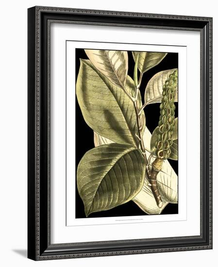 Tranquil Tropical Leaves II-Vision Studio-Framed Art Print