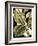 Tranquil Tropical Leaves II-Vision Studio-Framed Art Print