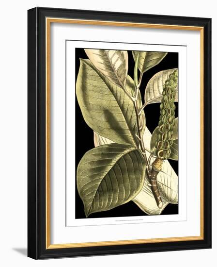 Tranquil Tropical Leaves II-Vision Studio-Framed Art Print
