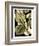 Tranquil Tropical Leaves II-Vision Studio-Framed Art Print