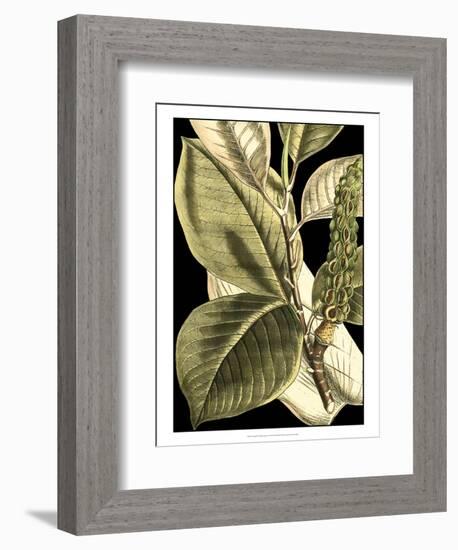 Tranquil Tropical Leaves II-Vision Studio-Framed Art Print