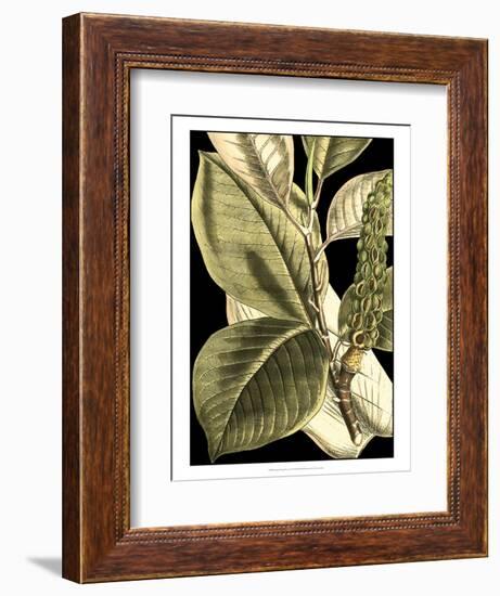 Tranquil Tropical Leaves II-Vision Studio-Framed Art Print