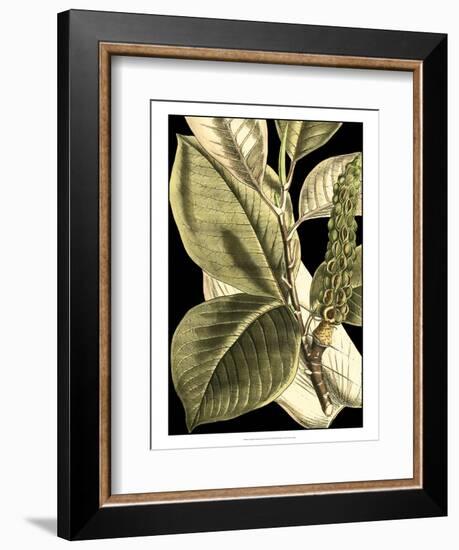 Tranquil Tropical Leaves II-Vision Studio-Framed Art Print