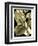 Tranquil Tropical Leaves II-Vision Studio-Framed Art Print