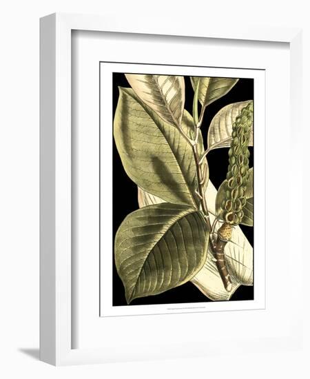 Tranquil Tropical Leaves II-Vision Studio-Framed Art Print