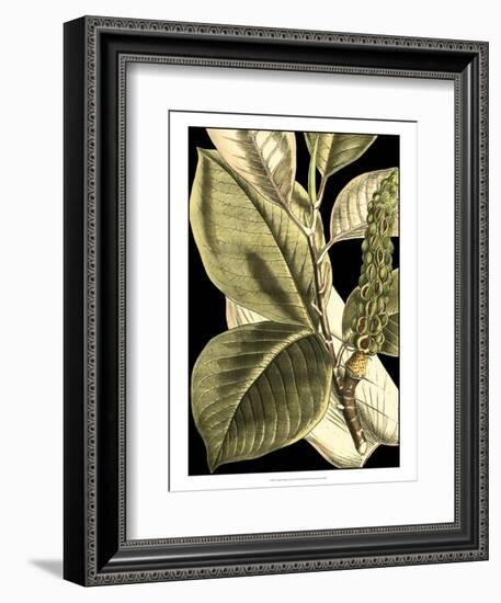 Tranquil Tropical Leaves II-Vision Studio-Framed Art Print