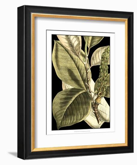 Tranquil Tropical Leaves II-Vision Studio-Framed Art Print