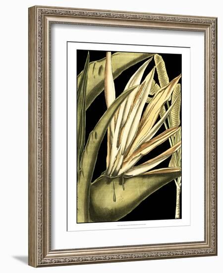 Tranquil Tropical Leaves III-Vision Studio-Framed Art Print