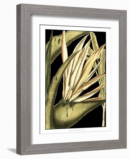 Tranquil Tropical Leaves III-Vision Studio-Framed Art Print