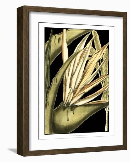 Tranquil Tropical Leaves III-Vision Studio-Framed Art Print