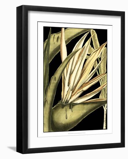 Tranquil Tropical Leaves III-Vision Studio-Framed Art Print