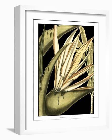 Tranquil Tropical Leaves III-Vision Studio-Framed Art Print