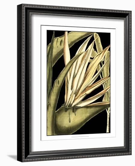 Tranquil Tropical Leaves III-Vision Studio-Framed Art Print