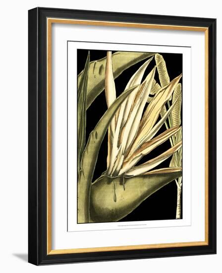 Tranquil Tropical Leaves III-Vision Studio-Framed Art Print