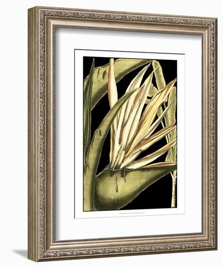 Tranquil Tropical Leaves III-Vision Studio-Framed Art Print