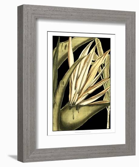 Tranquil Tropical Leaves III-Vision Studio-Framed Art Print