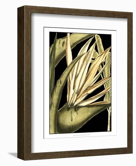 Tranquil Tropical Leaves III-Vision Studio-Framed Art Print