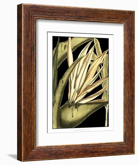 Tranquil Tropical Leaves III-Vision Studio-Framed Art Print