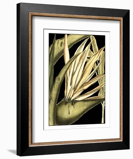 Tranquil Tropical Leaves III-Vision Studio-Framed Art Print