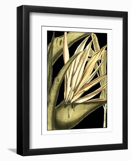 Tranquil Tropical Leaves III-Vision Studio-Framed Art Print