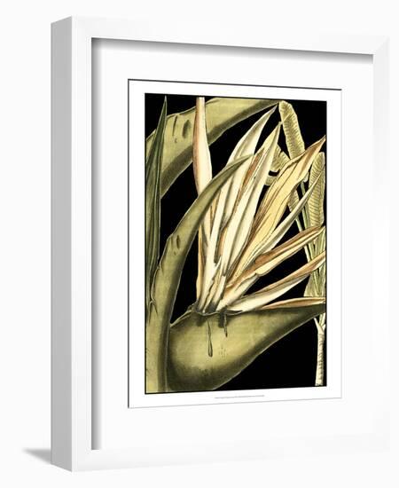 Tranquil Tropical Leaves III-Vision Studio-Framed Art Print