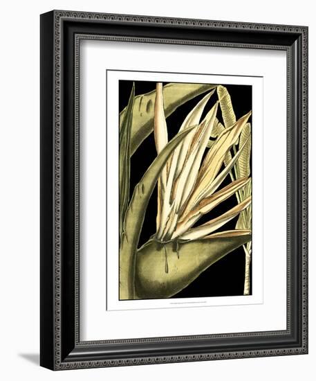 Tranquil Tropical Leaves III-Vision Studio-Framed Art Print