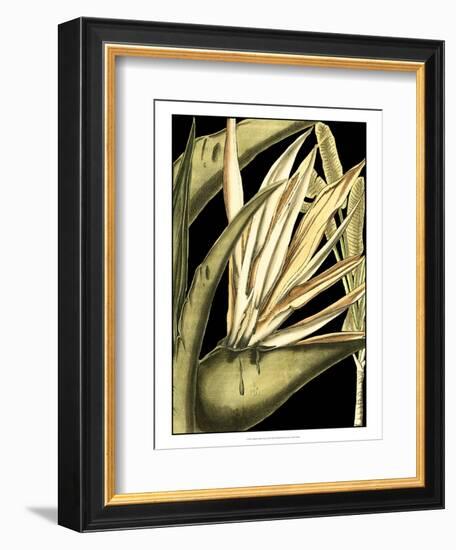 Tranquil Tropical Leaves III-Vision Studio-Framed Art Print